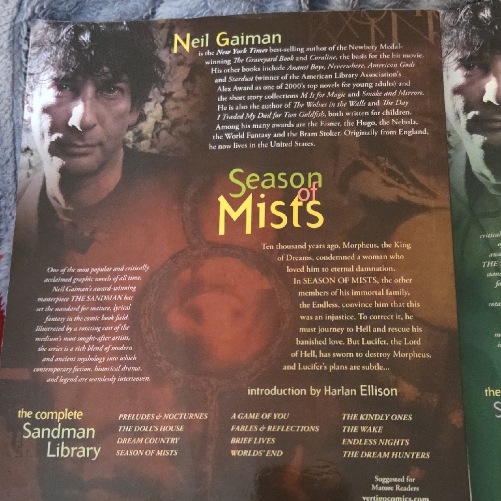 Sandman Graphic Novels by Neil Gaiman - Picture 3 of 12